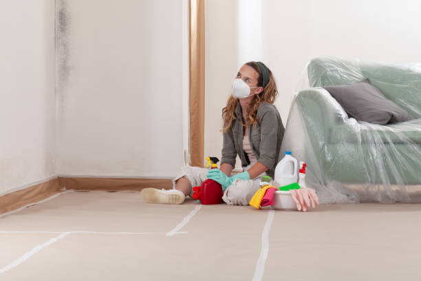 Reliable Mold Inspection contractor in Wantagh, NY by WQB Mold Removal